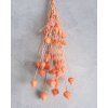 Centaurea buds salmon 7736 119