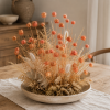 centaurea lachs