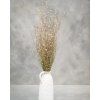 centaurea bunch natural 7628 10 3