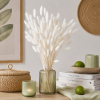 lagurus white interier