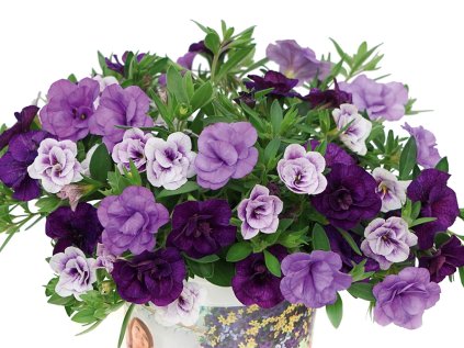 2382 trixi blue petticoat