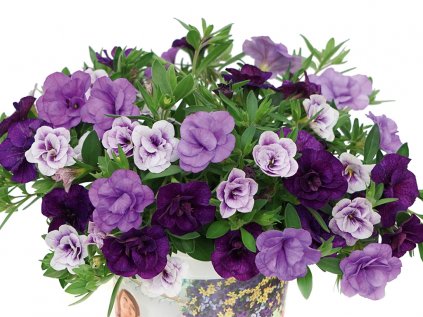 Trixi® Blue Petticoat