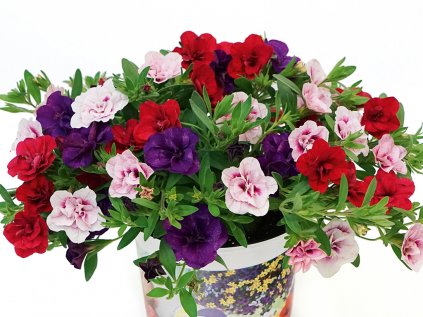 Trixi® Fancy Pettycoat