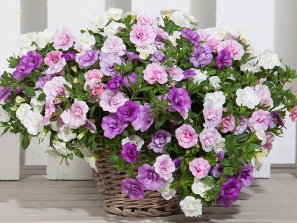 2394 trixi pink petticoat 14