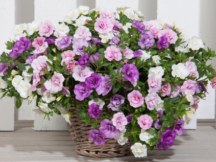 Trixi® Pink Petticoat '14