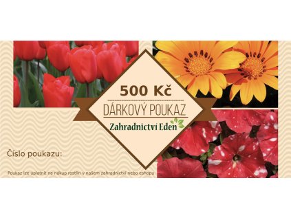 poukaz 500