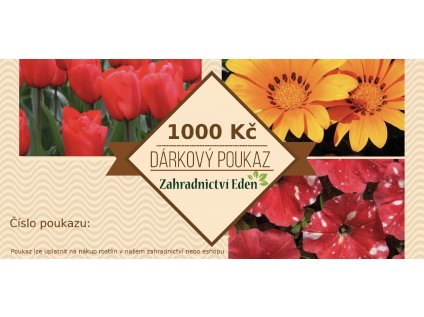 Dákový poukaz - 1000 Kč