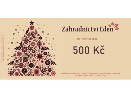 Vánoční poukaz - 500 Kč