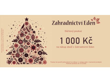 Vánoční poukaz - 1000 Kč
