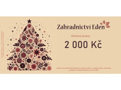 Vánoční poukaz - 2000 Kč