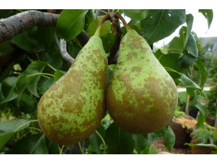 Konference 1536x1026