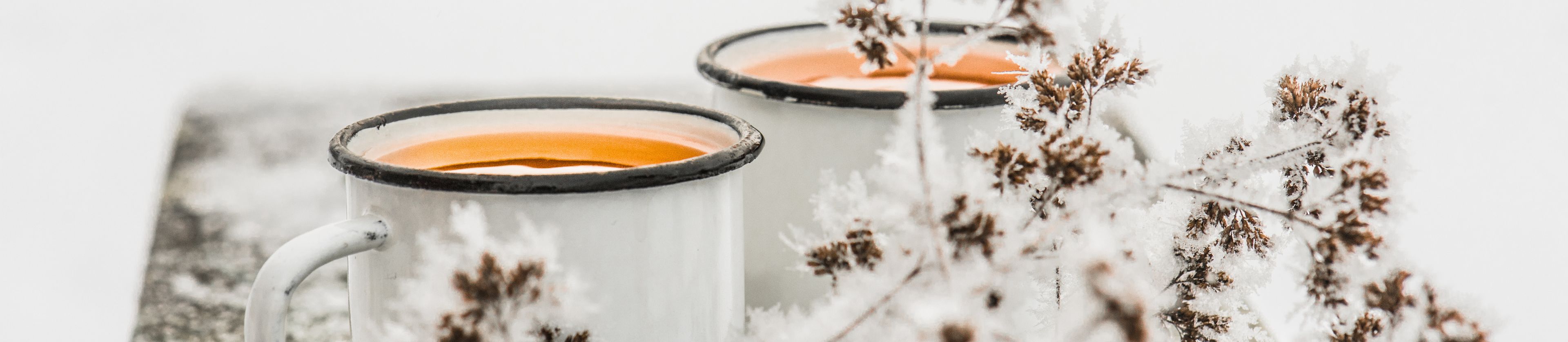 Zimujeme část sortimentu