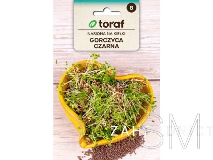 Klíčky Hořčice černá  Klíčky Hořčice černá