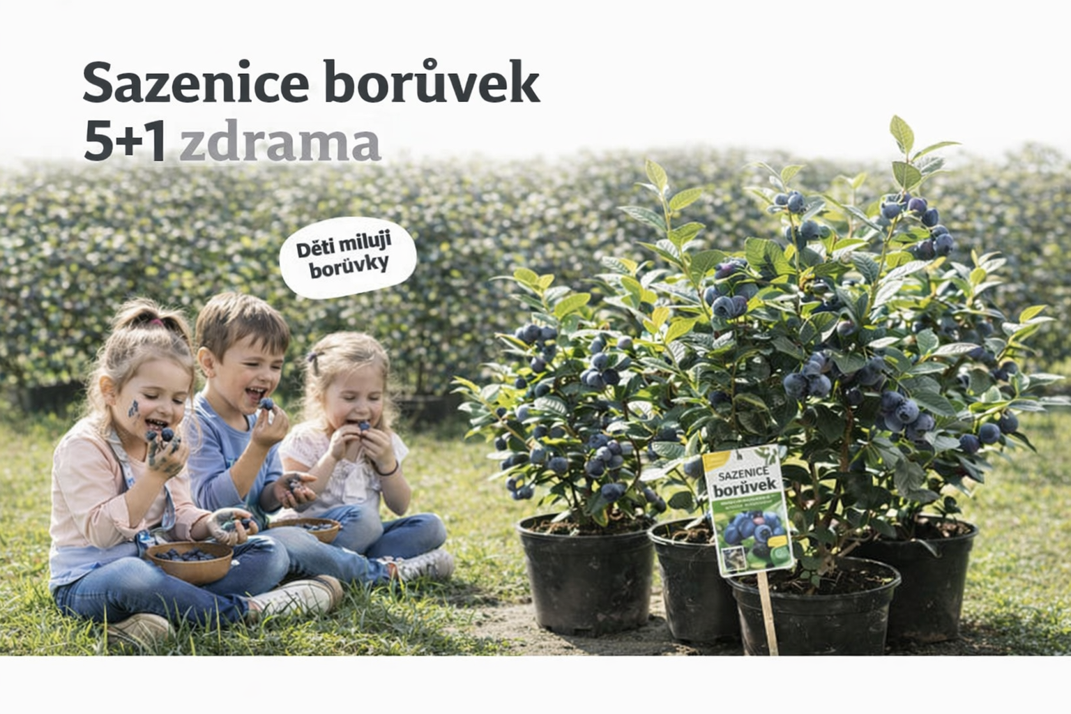 5+1 zdarma Borůvky po celé léto