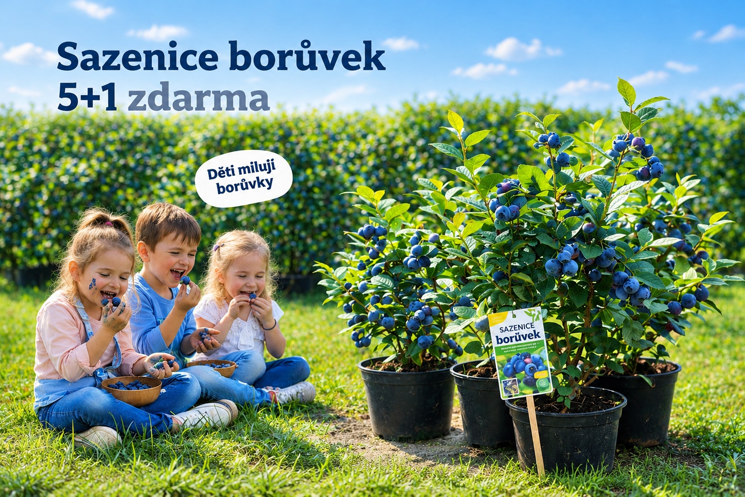 5+1 zdarma Borůvky po celé léto