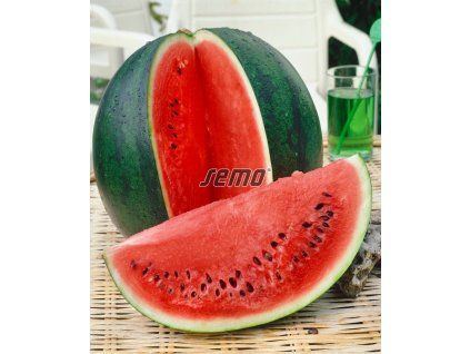 lajko2