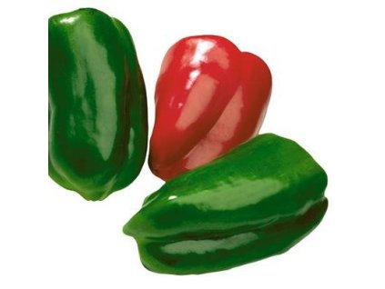 Capsicum Jericho