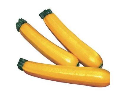 courgette sebringF1 01