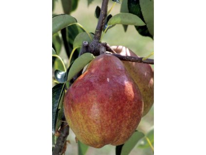 profimedia 0568283870 (1)