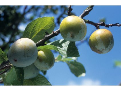 profimedia 0568247593