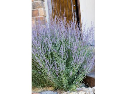 profimedia 0079636560