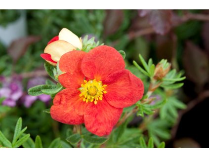 profimedia 0170207484