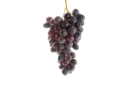 kismis mprofimedia 0873370718