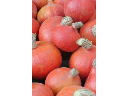 hokkaido 3599306 1280