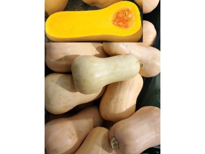 Butternut liscia profimedia 06930575802