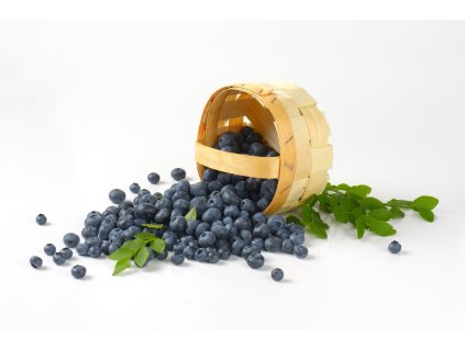 bluejay profimedia 0283261835