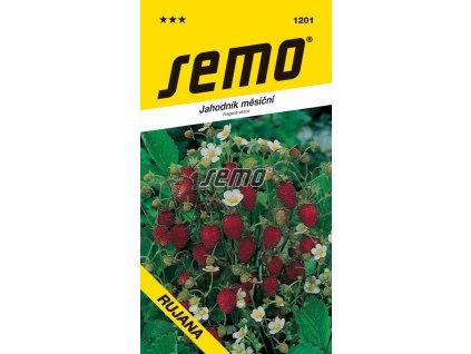 1201 semo zelenina jahodnik mesicni rujana