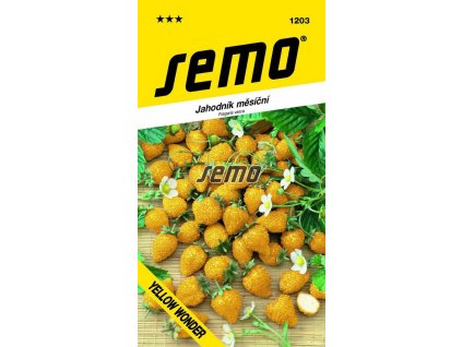 1203 semo zelenina jahodnik mesicni yellow wonder