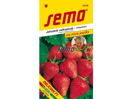 1218 semo zelenina jahodnik velkoplody delician