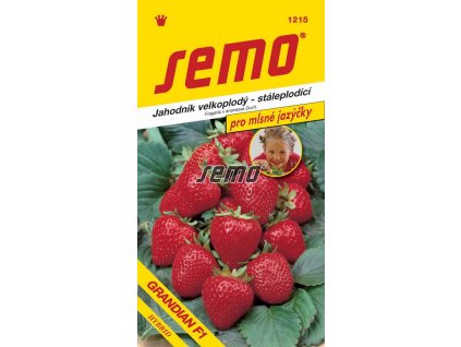 1215 semo zelenina jahodnik velkoplody grandian