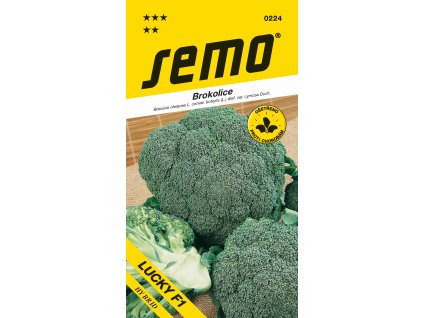 0224 brokolice LUCKY F1 (1)
