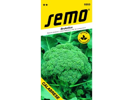 0203 brokolice CALABRESE