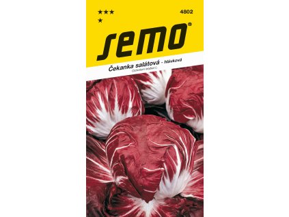 4802 čekanka sal. PALLA ROSSA 3 (1)