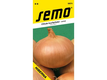 0571 cibule HIBERNA