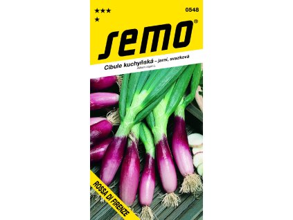 0548 cibule ROSSA DI FIRENZE