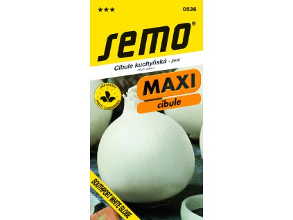 0536 cibule SOUTHPORT WHITE GLOBE MAXI