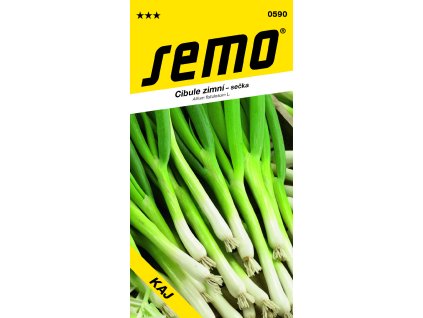 0590 cibule sečka KAJ