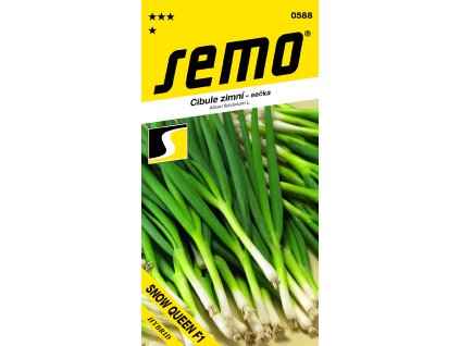 0588 cibule sečka SNOW QUEEN F1