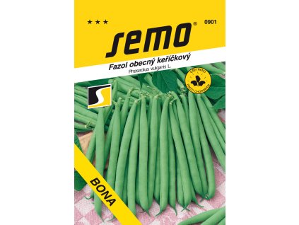 0901 fazol keříčkový BONA