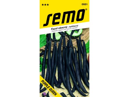 0921 fazol keříčkový PURPLE QUEEN