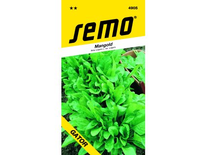 4905 mangold PERPETUAL SPINACH (GATOR)