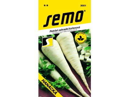 3001 petržel HANÁCKÁ