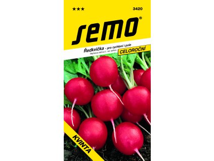 3420 ředkvička KVINTA