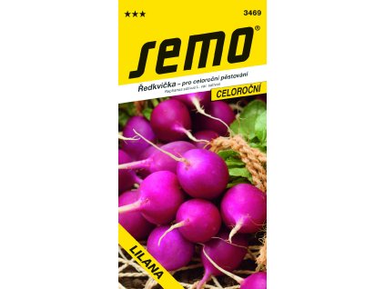 3469 ředkvička LILANA