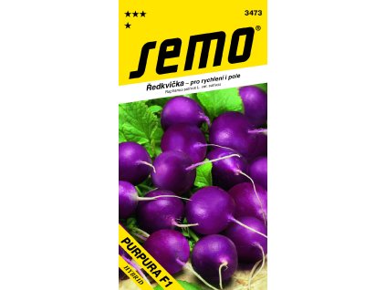 3473 Ředkvička PURPURA F1