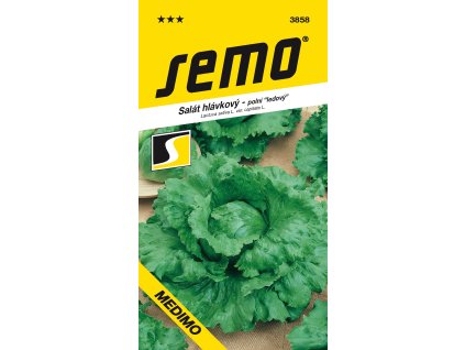 3858 salát hlávkový MEDIMO